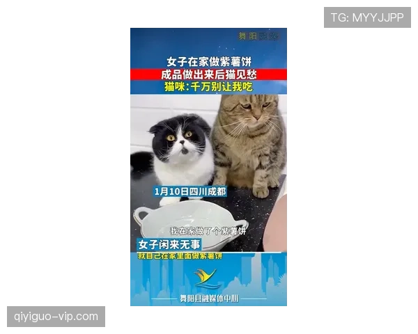 掌敏洁家的猫喝依云，她本人赛前啃压缩饼干？