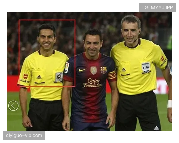 助理裁判到底能管什么？边裁职责全解析