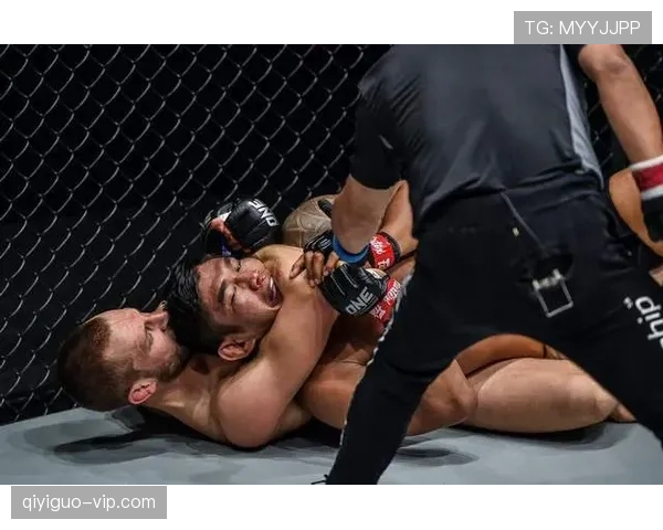 劳塔罗持续高效，国际米兰是否过度依赖核心影响争冠形势？