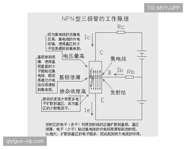 深入解析篮球比赛中发球五秒违例的规则定义与判罚标准
